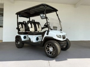 Evolution D5 Ranger Golf Cart Street Legal